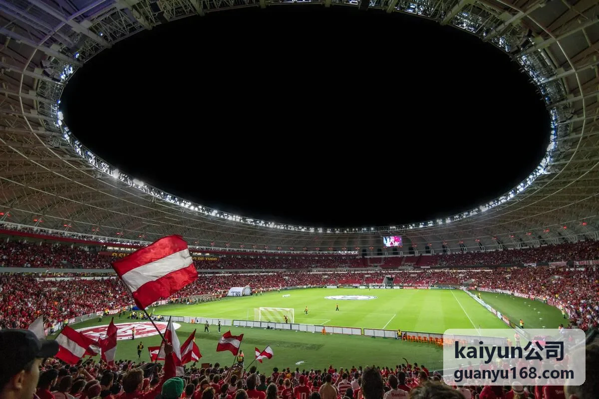 kaiyun公司系统对接与运维托管场景