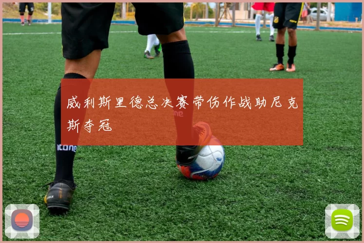 威利斯里德总决赛带伤作战助尼克斯夺冠