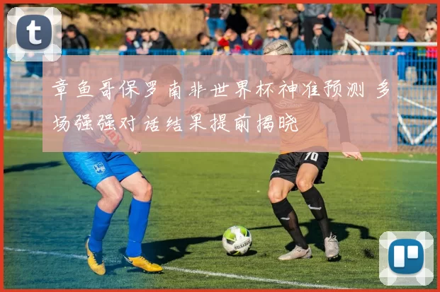 章鱼哥保罗南非世界杯神准预测 多场强强对话结果提前揭晓