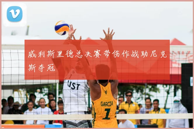 威利斯里德总决赛带伤作战助尼克斯夺冠